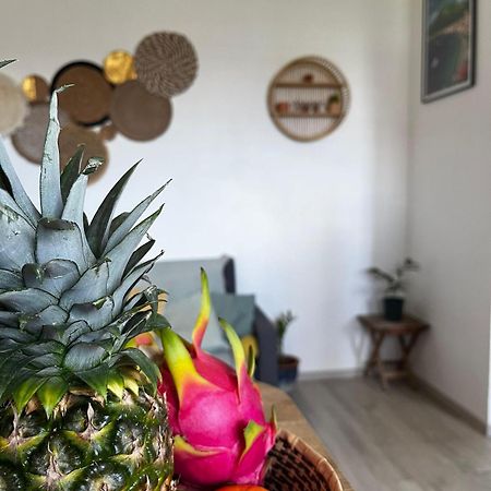 Appartamento Cocon Des Alizes La Moise Esterno foto