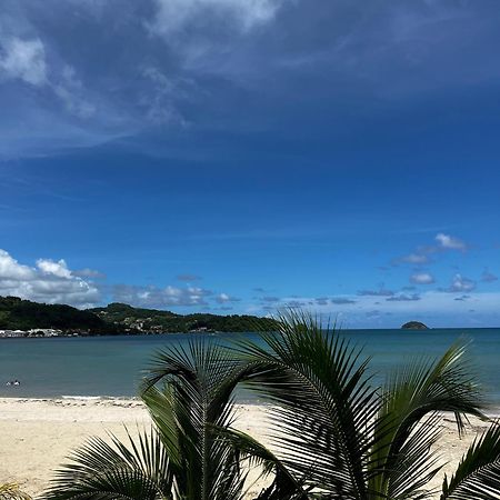 Appartamento Cocon Des Alizes La Moise Esterno foto